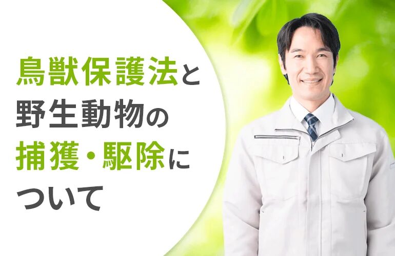 鳥獣保護法と野生動物の捕獲・駆除について