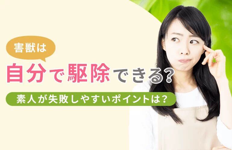 素人が失敗しやすいポイント