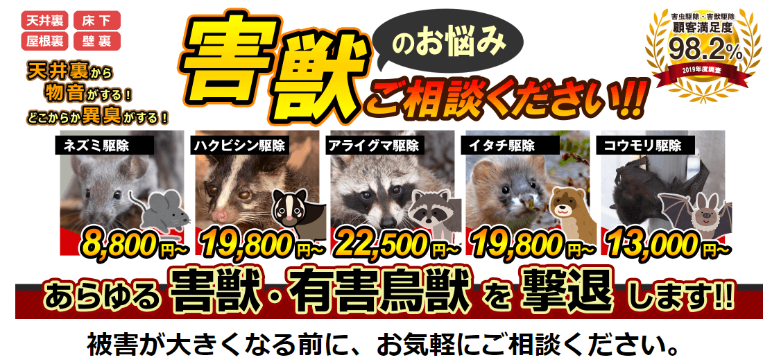 害獣の救急隊