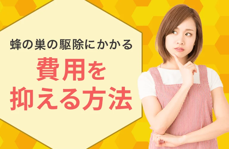蜂の巣の駆除にかかる費用を抑える方法